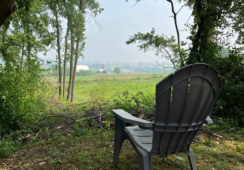 A chair in the middle of a field